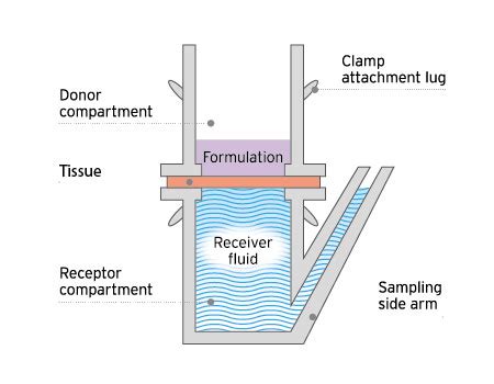 permeation testing near me